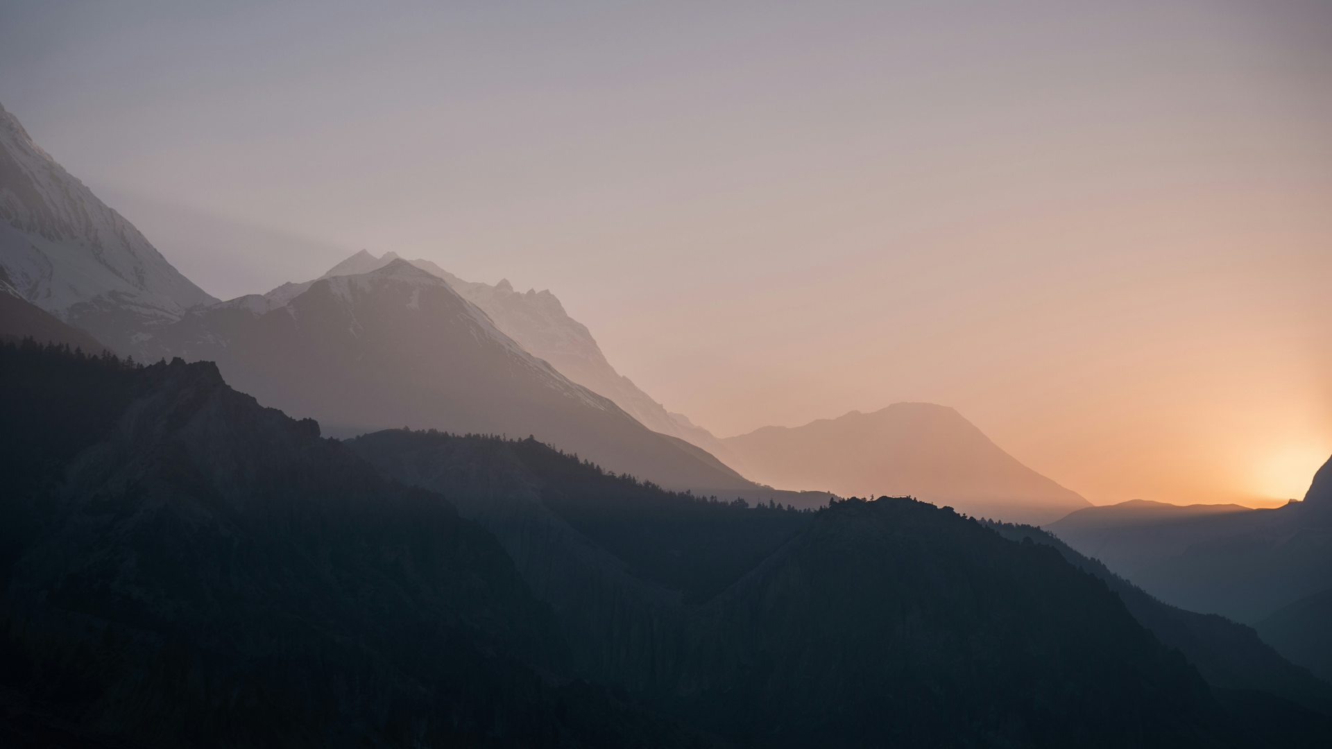 SmartHire decorative background